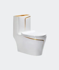 T6070C - White & Gold One Piece Toilet