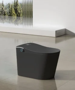 T9013B Smart Toilet - All Black
