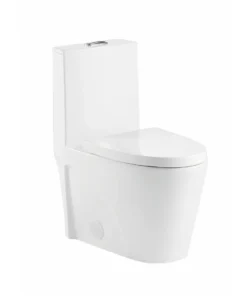 T6002 One Piece Toilet