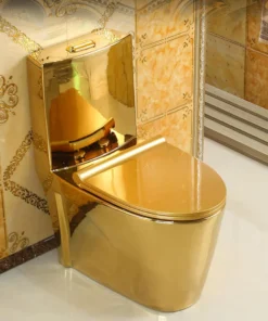 T6002G - Golden One Pieces Toilet